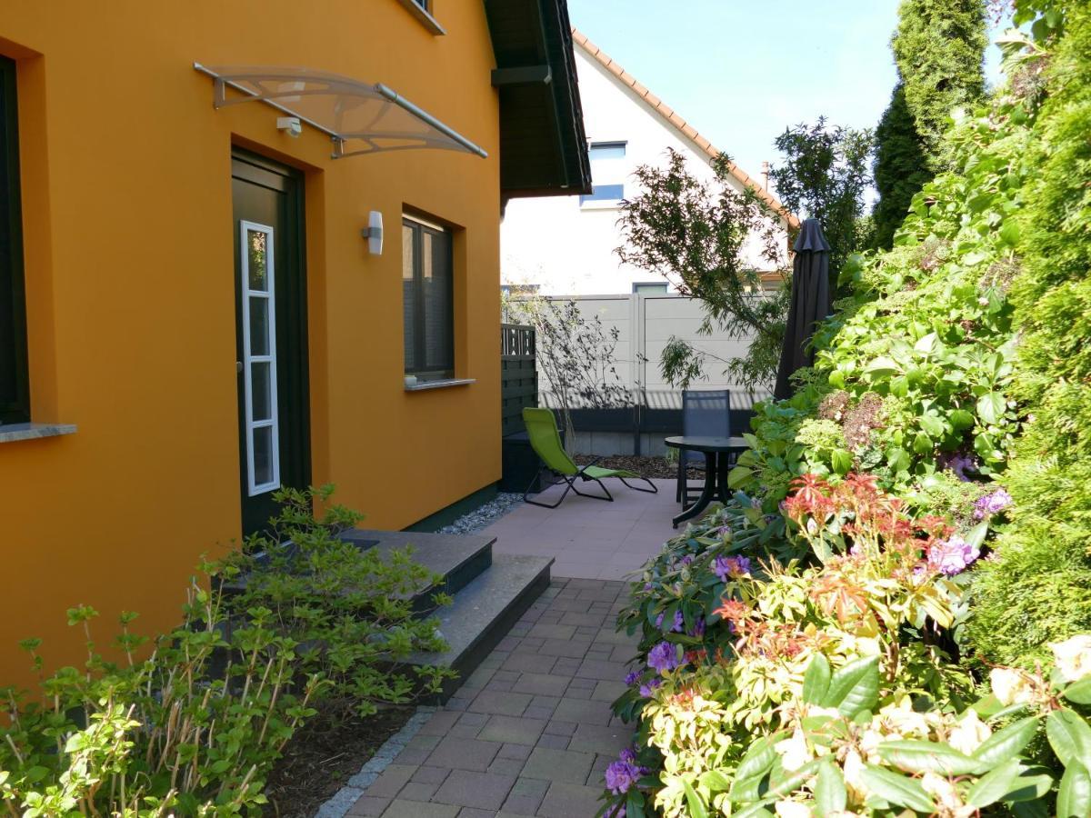 Ferienwohnung 01 Altenberg 제바트헤링스도르프 외부 사진